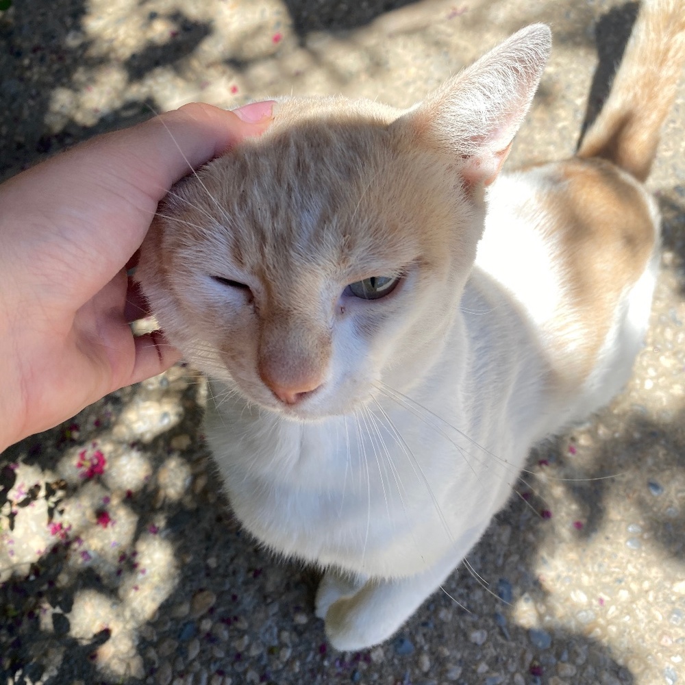 Meet your Posher, Emilia